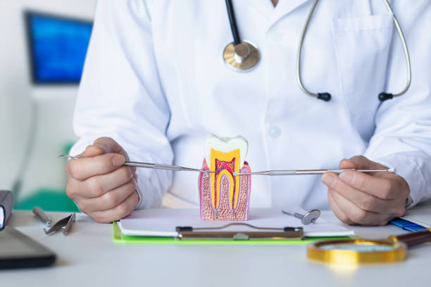Best Weekend Emergency Dentist in Logan, IA